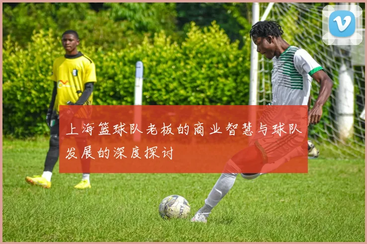 上海篮球队老板的商业智慧与球队发展的深度探讨