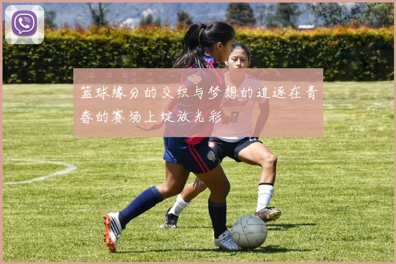 篮球缘分的交织与梦想的追逐在青春的赛场上绽放光彩