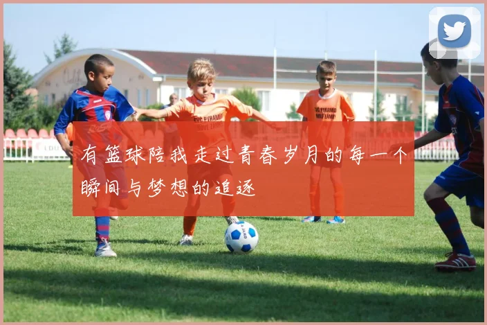 有篮球陪我走过青春岁月的每一个瞬间与梦想的追逐