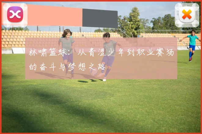林啸篮球：从青涩少年到职业赛场的奋斗与梦想之路